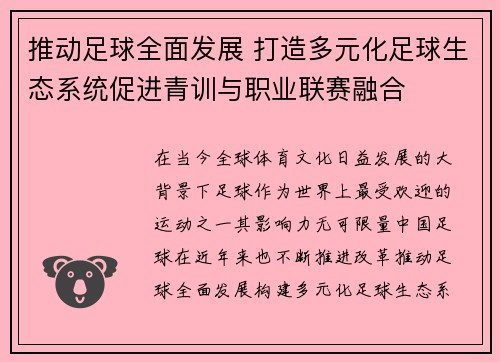 推动足球全面发展 打造多元化足球生态系统促进青训与职业联赛融合