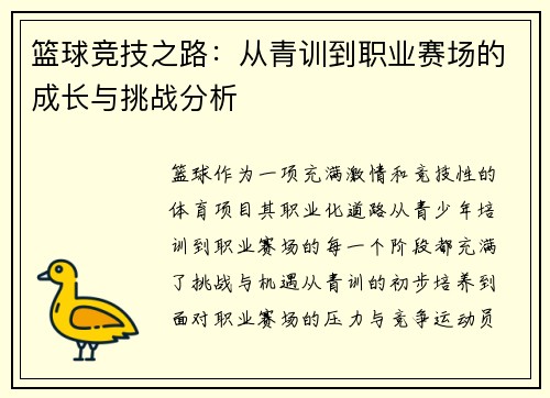 篮球竞技之路：从青训到职业赛场的成长与挑战分析
