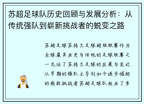 苏超足球队历史回顾与发展分析：从传统强队到崭新挑战者的蜕变之路
