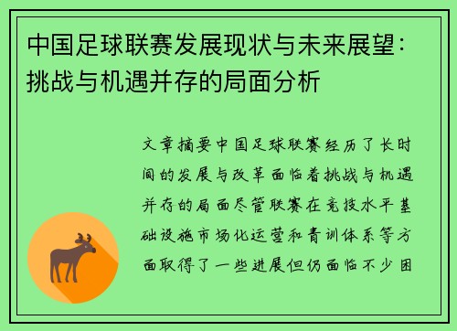 中国足球联赛发展现状与未来展望:挑战与机遇并存的局面分析