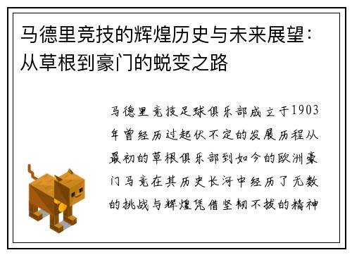 马德里竞技的辉煌历史与未来展望:从草根到豪门的蜕变之路