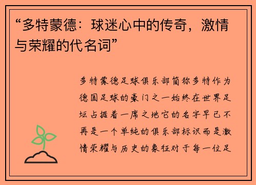“多特蒙德：球迷心中的传奇，激情与荣耀的代名词”